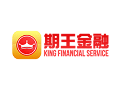 KING FINANCIAL SERVICES